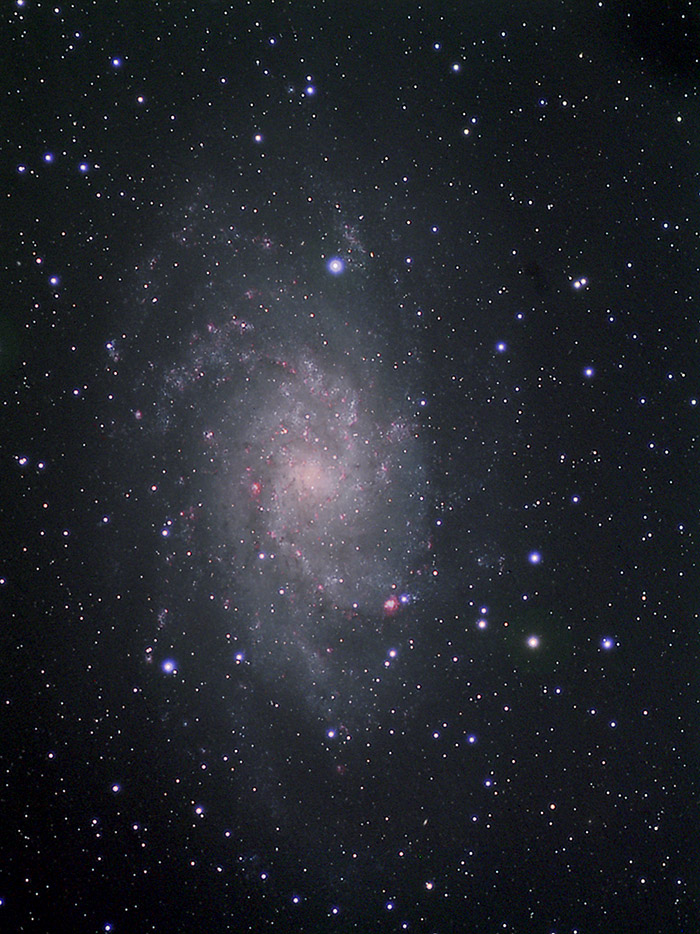 M33 + Ha