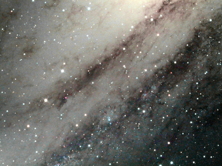 m31