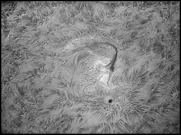 active region