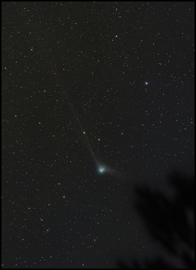 Comet Catalina