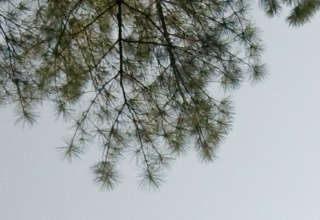 center