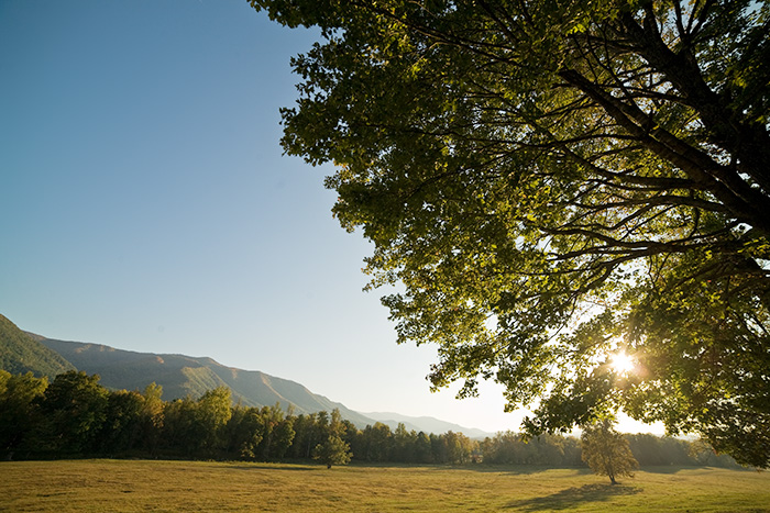 cades cove