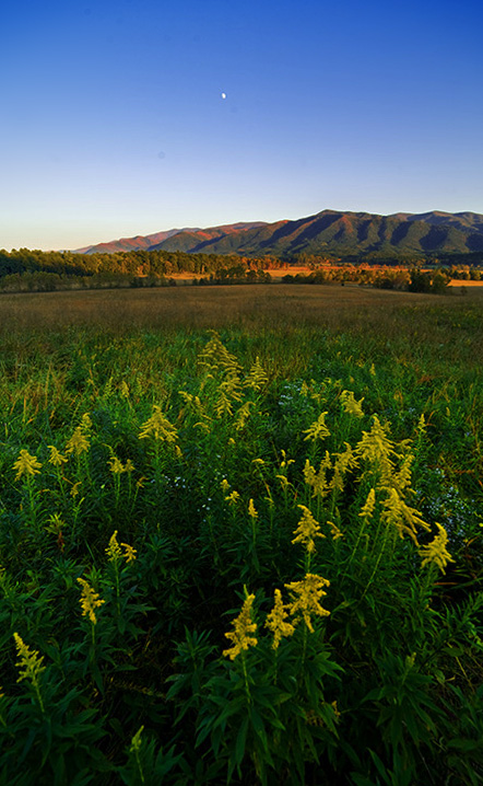 cades cove